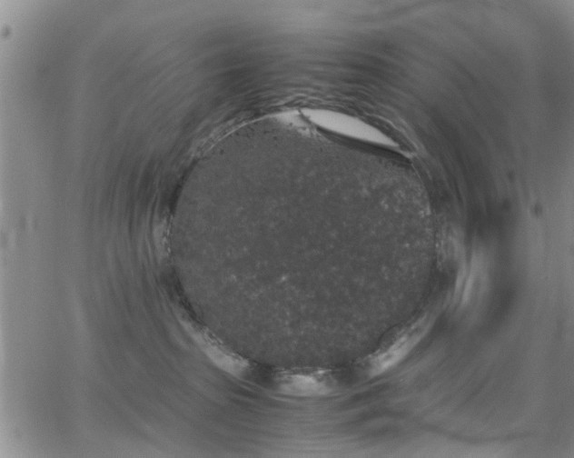 X0000062150285200512091322