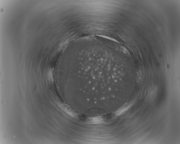 X0000062150286200512091322