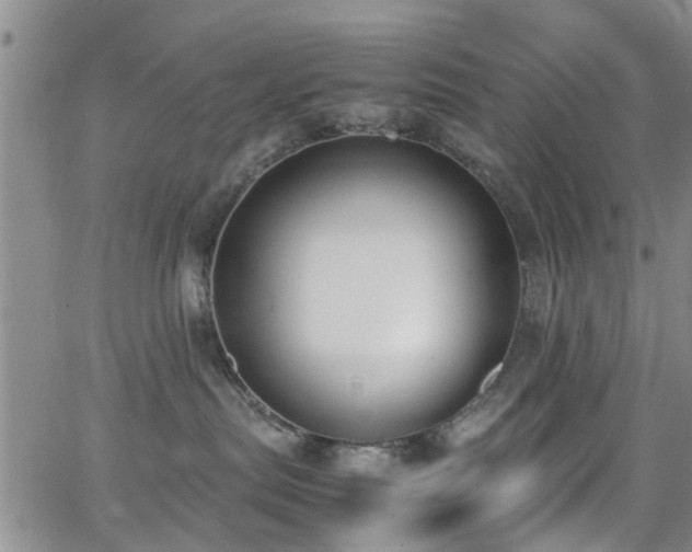 X0000062150287200512091322