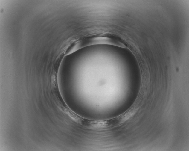 X0000062150288200512091322