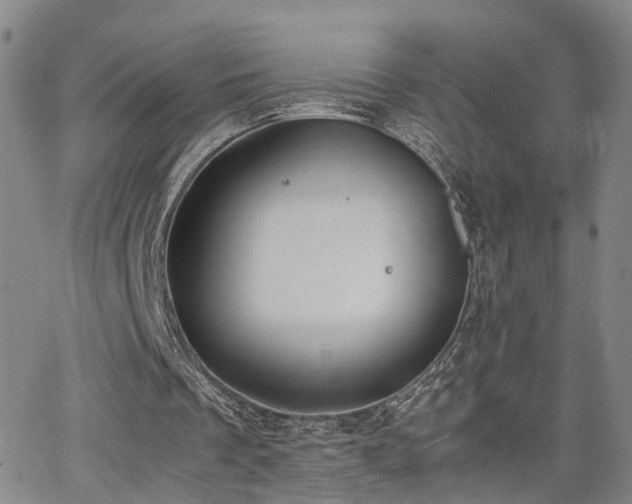 X0000062150289200512091321