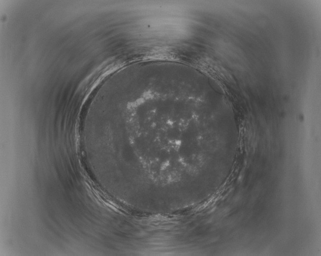 X0000062150290200512091321