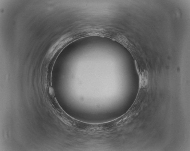 X0000062150291200512091321