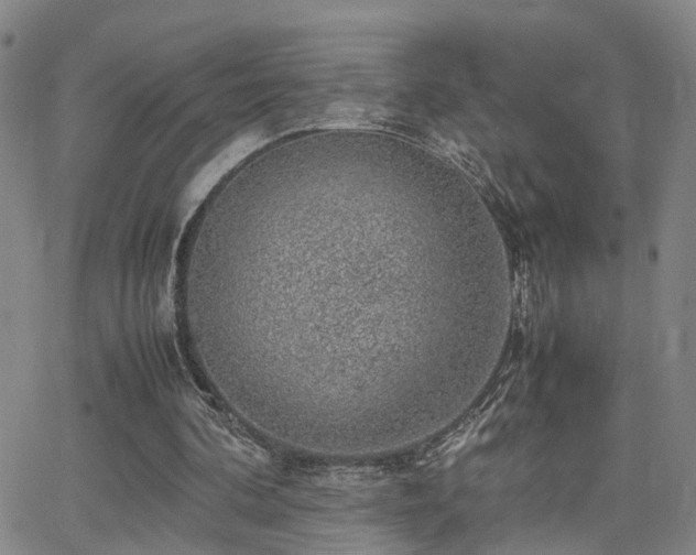 X0000062150292200512091321