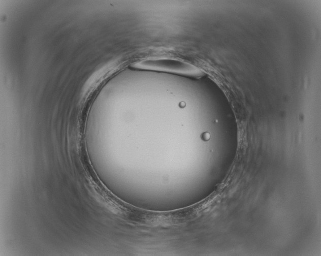 X0000062150293200512091321