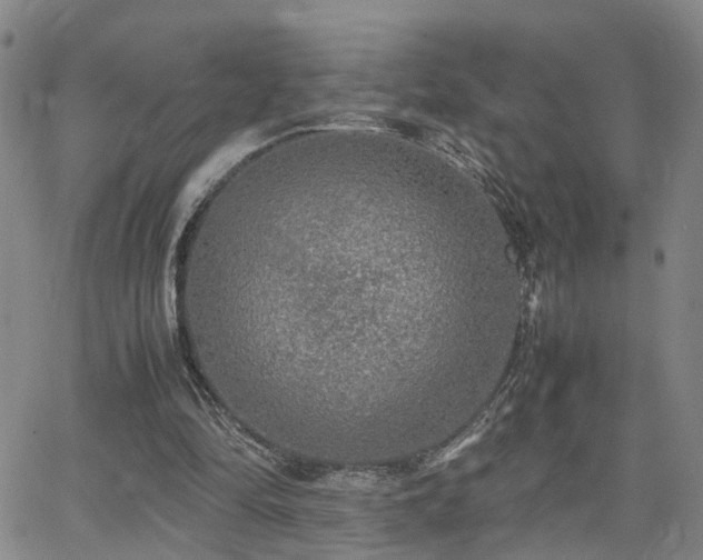 X0000062150294200512091321