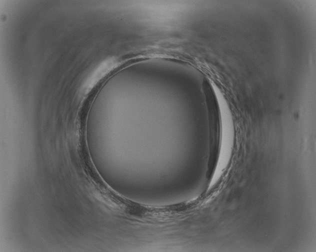 X0000062150295200512091321