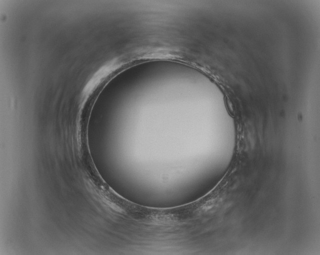 X0000062150296200512091321