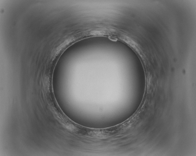 X0000062150297200512091321