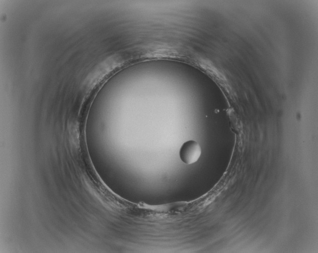 X0000062150298200512091321