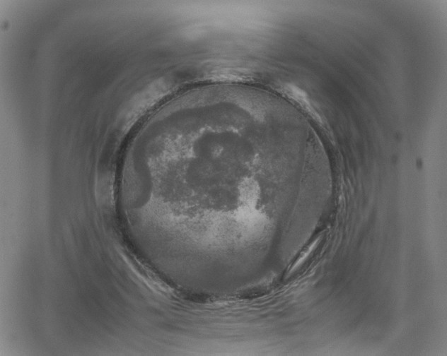 X0000062150299200512091321