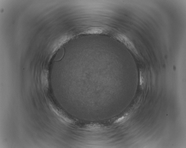 X0000062150300200512091321