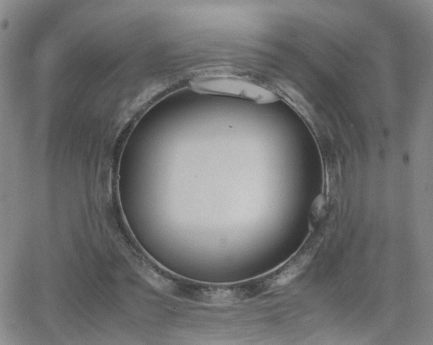 X0000062150301200512091321