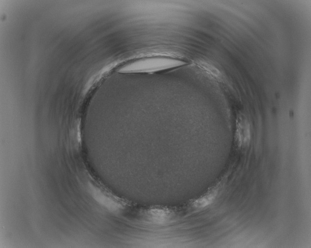 X0000062150302200512091321