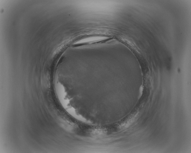 X0000062150303200512091321