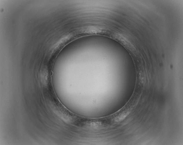 X0000062150304200512091321