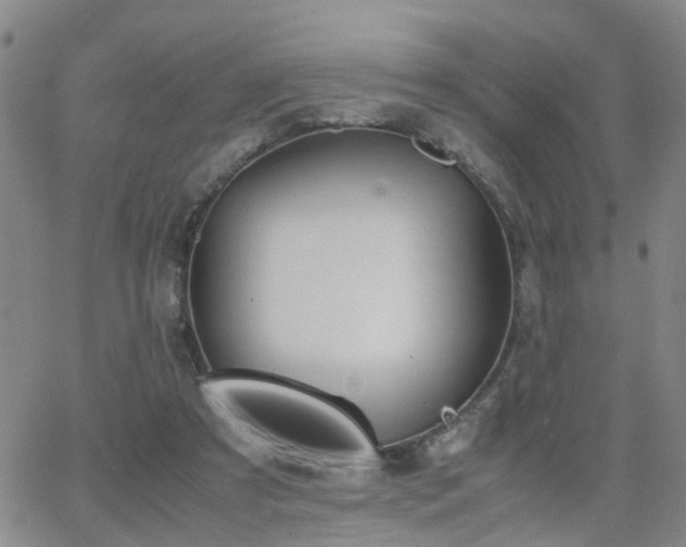 X0000062150305200512091321