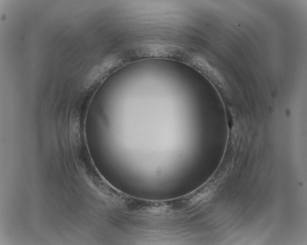 X0000062150306200512091321