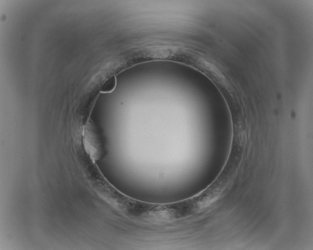 X0000062150307200512091321