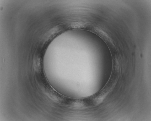 X0000062150308200512091321