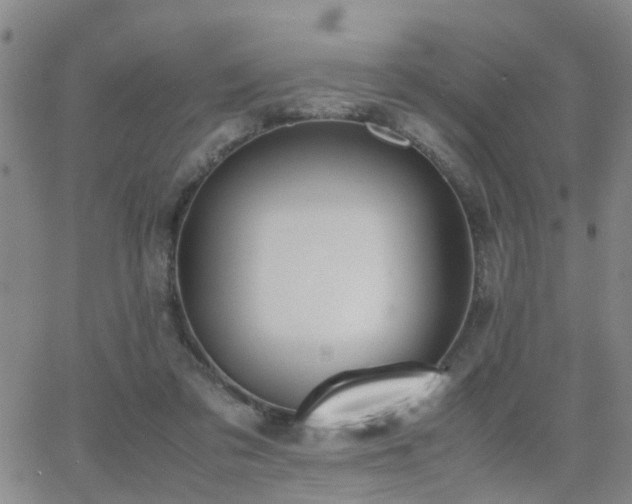 X0000062150309200512091321