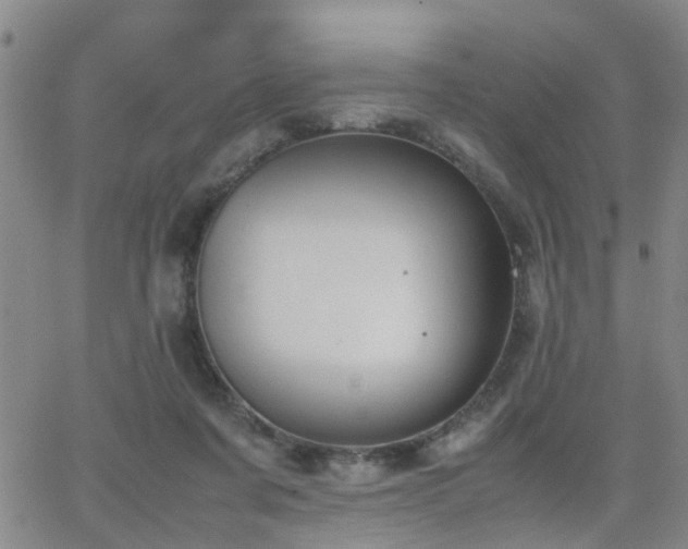 X0000062150311200512091321