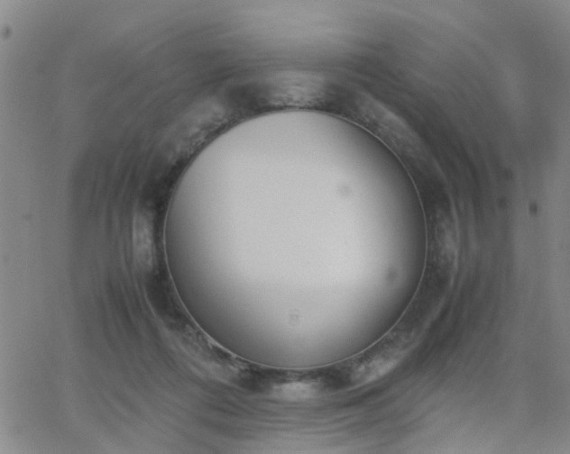 X0000062150312200512091321