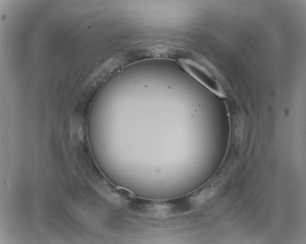 X0000062150313200512091321