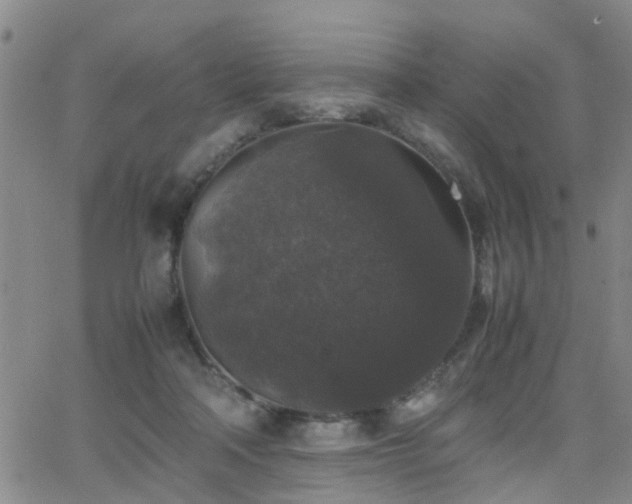 X0000062150314200512091321