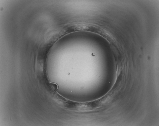 X0000062150315200512091321