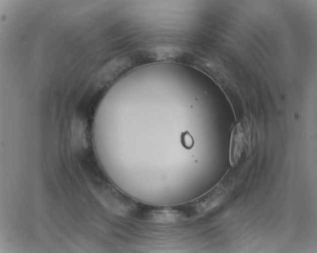 X0000062150316200512091321