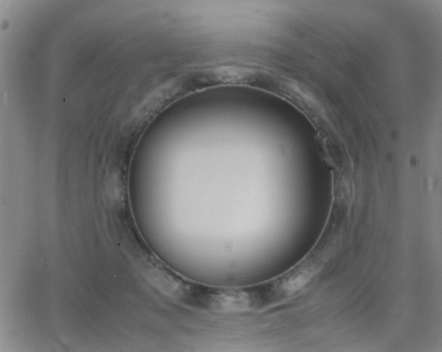 X0000062150317200512091321