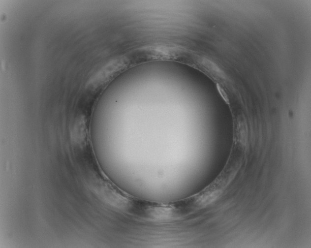 X0000062150318200512091321