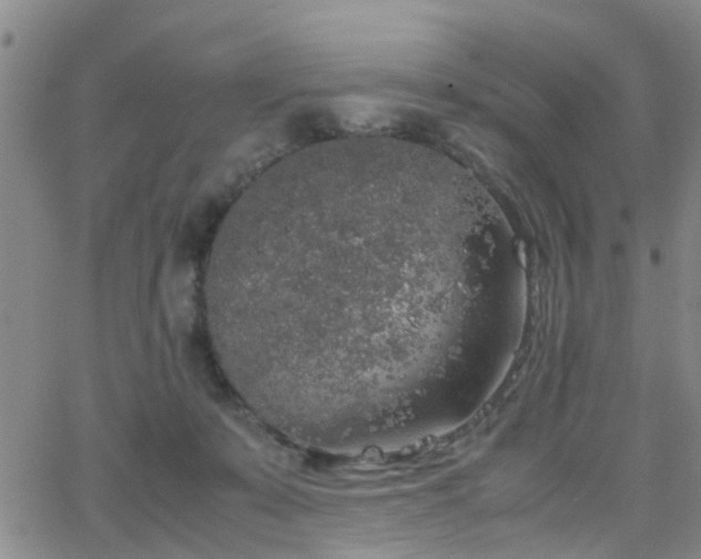 X0000062150319200512091321