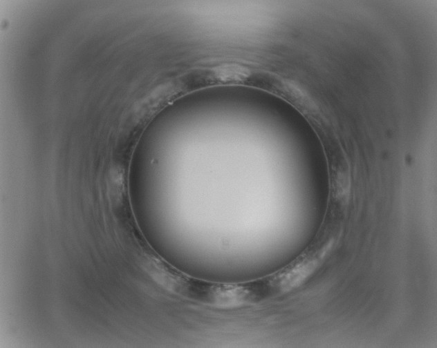 X0000062150321200512091321