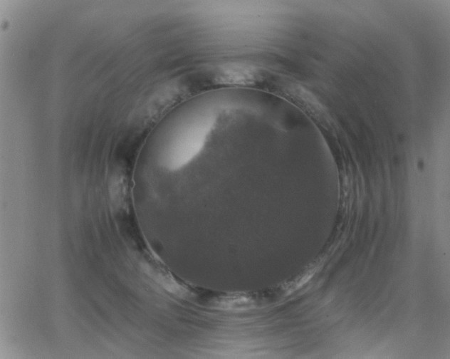 X0000062150322200512091321