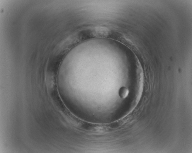 X0000062150323200512091321