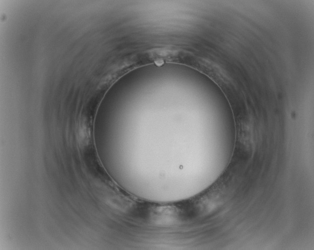 X0000062150324200512091321