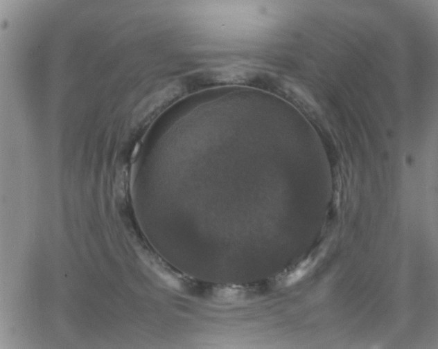 X0000062150325200512091321