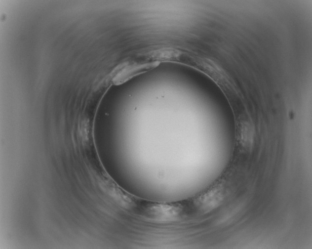 X0000062150326200512091321