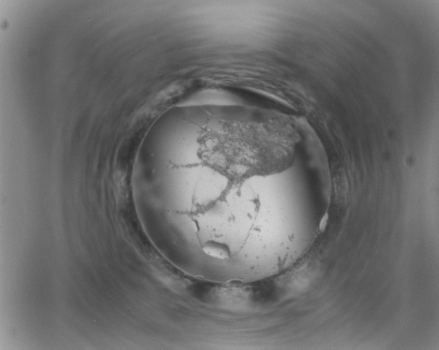 X0000062150327200512091321