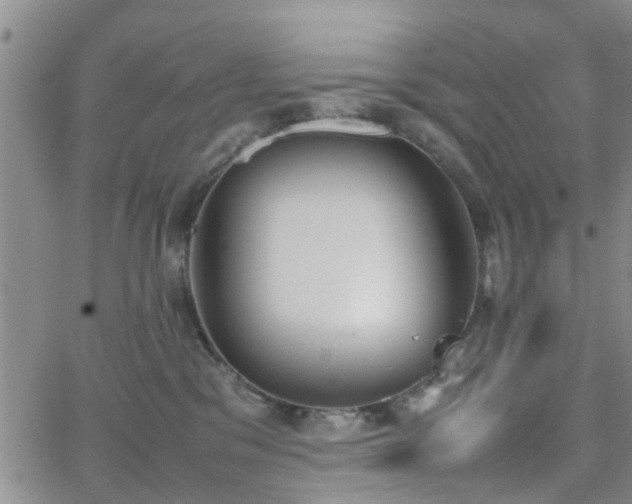 X0000062150329200512091321