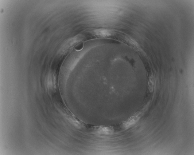 X0000062150330200512091321