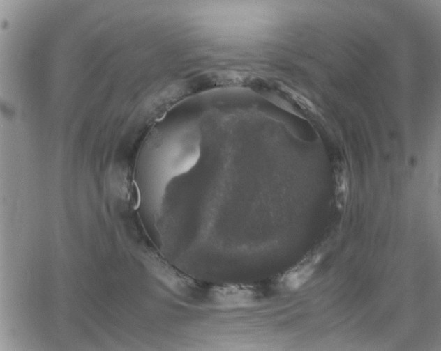 X0000062150331200512091321