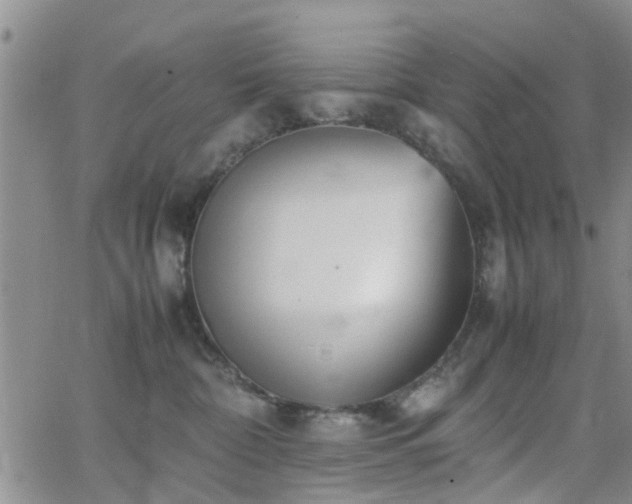 X0000062150332200512091321