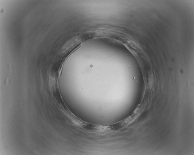 X0000062150333200512091321