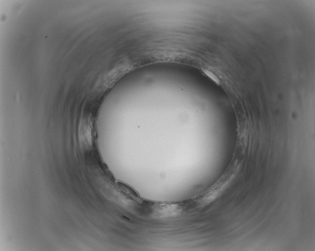 X0000062150334200512091321