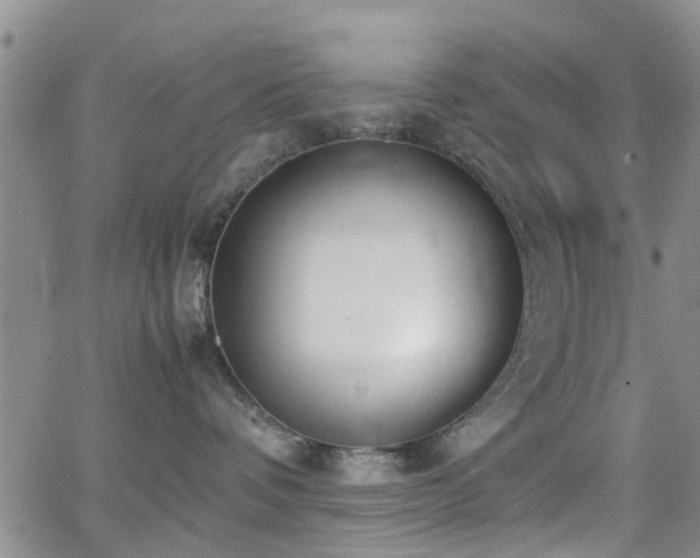 X0000062150336200512091321