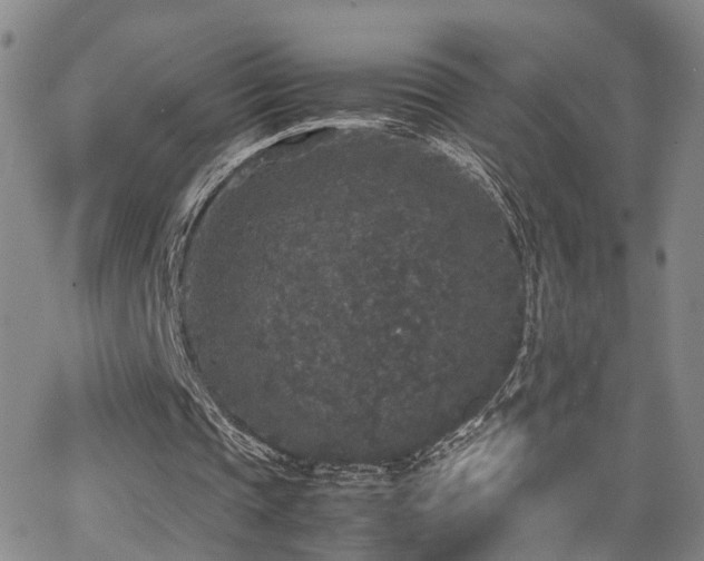 X0000062150337200512091320