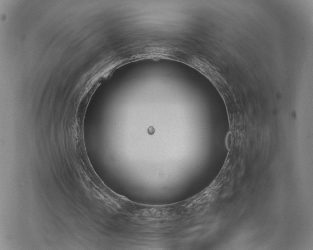 X0000062150338200512091320